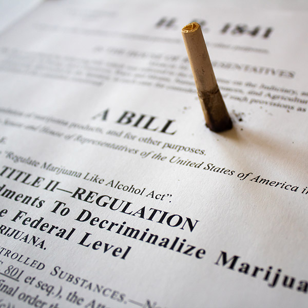 cannabis-in-congress