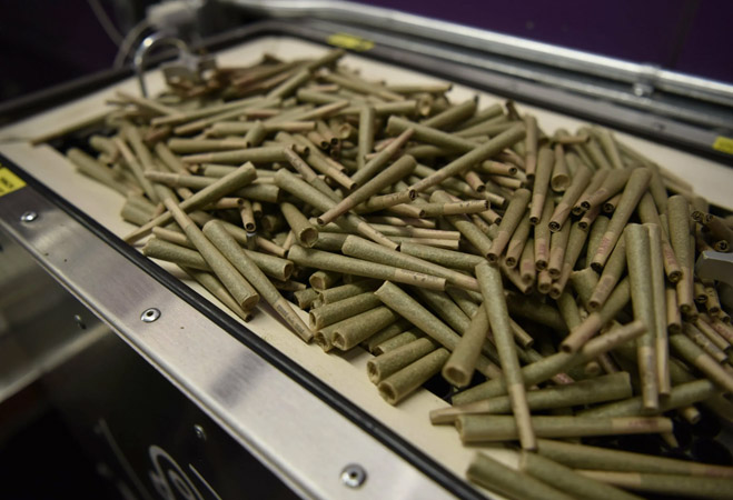 can cannabis loans help your credit