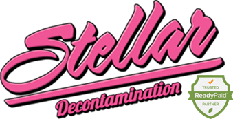 stella